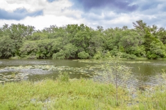 Coleto-Lake-cove-2