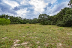 Coleto-Ranch-4