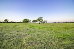 Coleto-Ranch-Pasture-View-4
