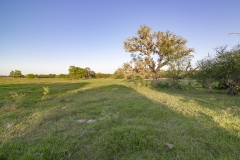 Coleto-Ranch-Pasture-view