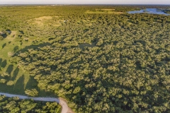 Coleto-Ranch-aerial-2