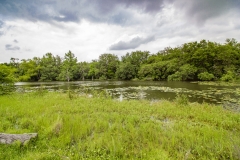 Coleto-Ranch-cove-3