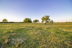 Coleto-Ranch-open-area-2