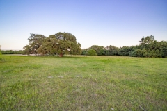 Coleto-Ranch-open-area3