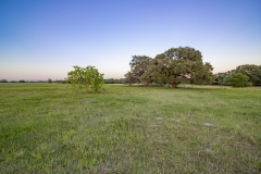 Coleto-Ranch-pasture-view-3