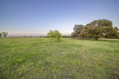Coleto-Ranch-pasture