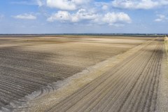 DJI_0080