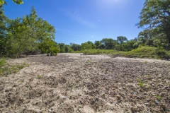 creek bottom 2