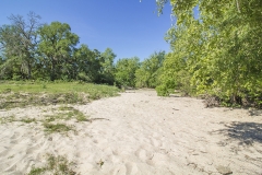 creek bottom 3