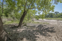 creek bottom