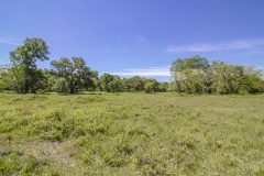 pasture