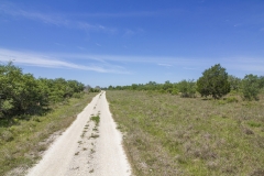 road (2)