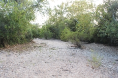 creek bed 2