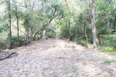 creek bed 3