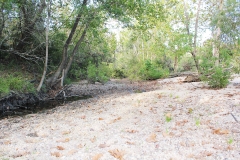 creek bed