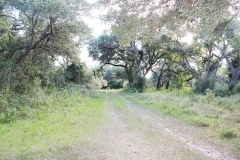trail