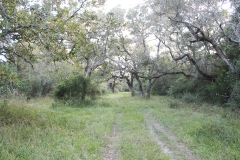 trails 2