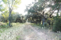 trails