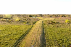 Road