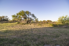 Pasture