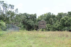 Deer Blind