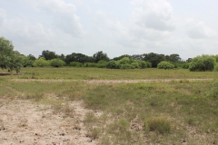 Pasture 3
