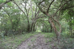 River Bottom 2