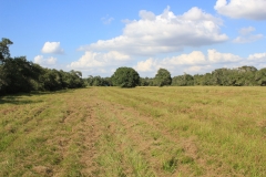 open areas