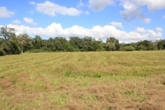 open land