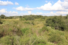 pasture 1