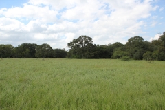 pasture land