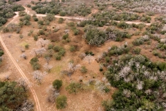 25 Acres Coleto Aerial 2