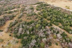 25 Acres Coleto Aerial 3