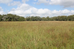 open area