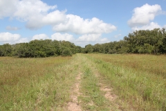 road