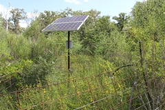 solar powered well