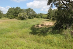 terrain