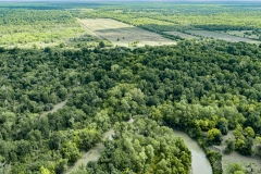 DJI_0005