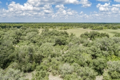 DJI_0061