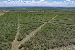 DJI_20250829112507_0031_D