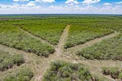 DJI_20250829112533_0032_D