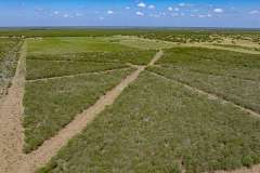 DJI_20250829113203_0050_D