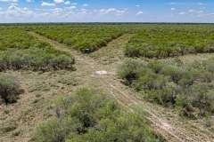 DJI_20250829113419_0059_D