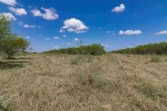 MG_0189