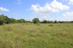 open areas 2