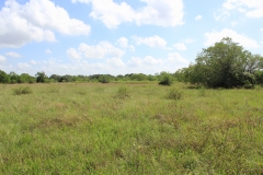 open areas