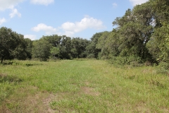 wooded areas