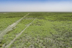 DJI_0001