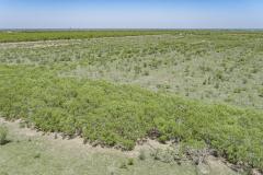 DJI_0067