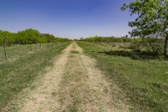 IMG_7980